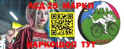 спиды Дубна