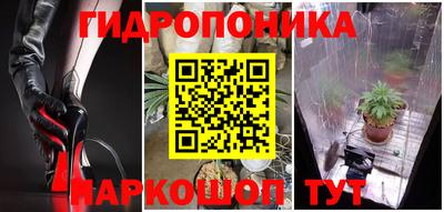 спиды Дубна