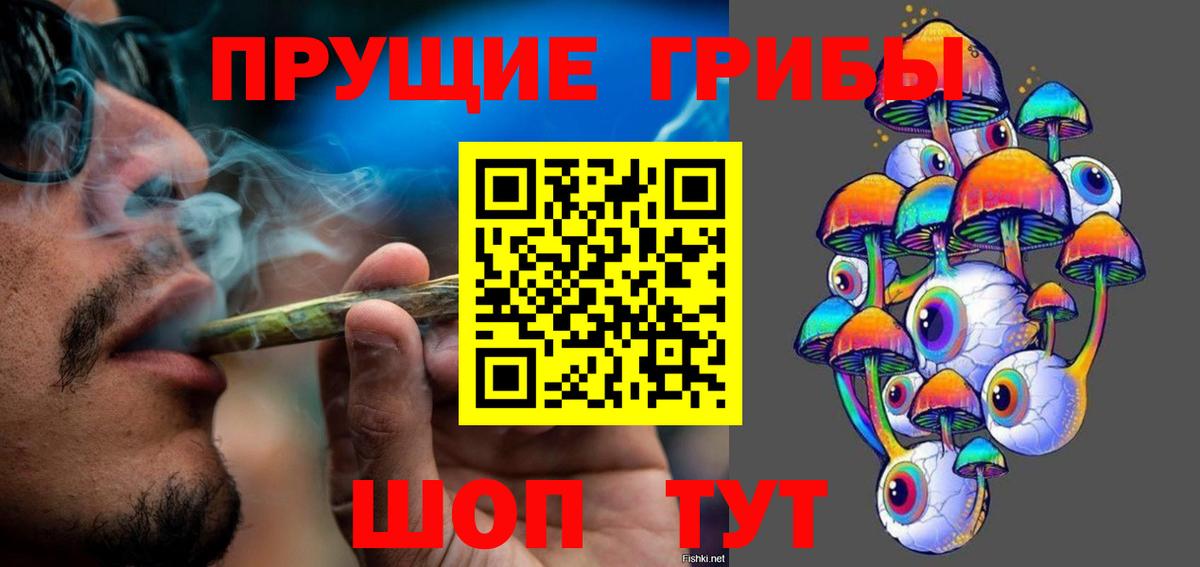 Галлюциногенные грибы Psilocybine cubensis Ленинск-Кузнецкий