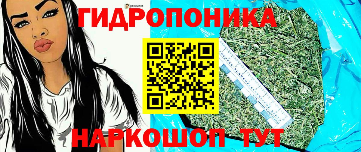 Марихуана OG Kush  Конопля THC 21%  Вход с VPN  Канабис гибрид  Шишки марихуана сатива  Ленинск-Кузнецкий 